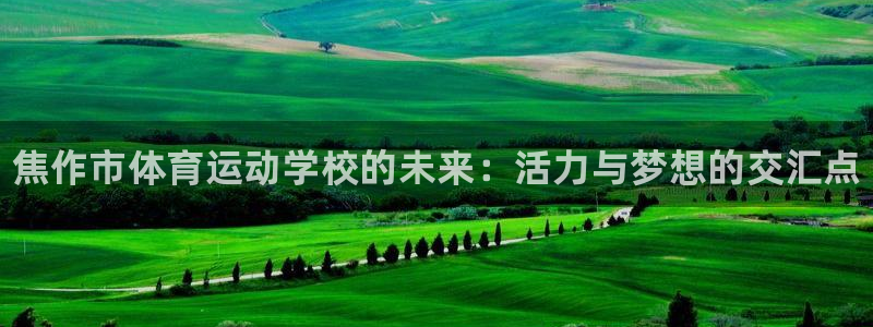 MK体育官网下载是干嘛的公司：焦作市体育运动学校的未来：活力