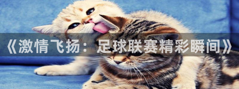 MK体育官网下载平台注册要钱吗是真的吗：《激情飞扬：