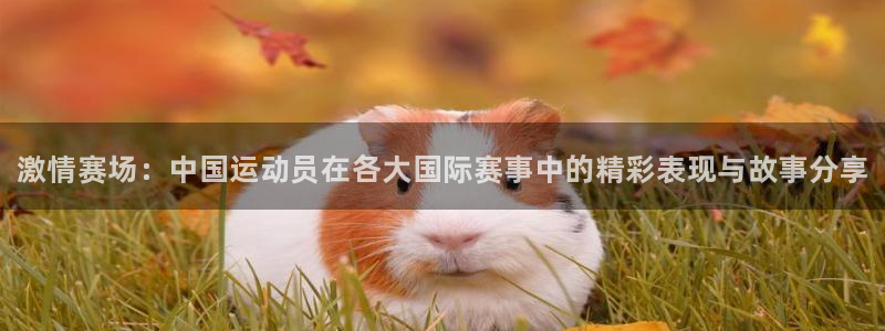 MK体育官网下载平台