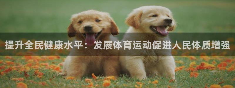 MK体育官网下载平台假的吗是真的吗：提升全民健康水平