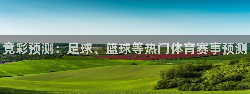 MK体育官方正版app代理：竞彩预测：足球、篮球等热