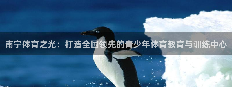 MK体育官网下载招商电话号码是多少：南宁体育之光：打