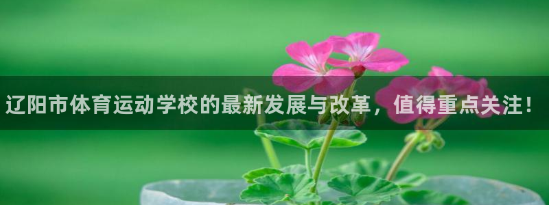 MK体育官方正版app集团官网网址：辽阳市体育运动学校的最新