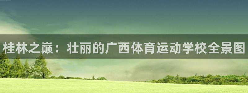 MK体育官方正版app集团logo：桂林之巅：壮丽的广西体育