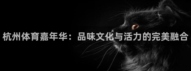 MK体育官方正版app代理：杭州体育嘉年华：品味文化与活力的