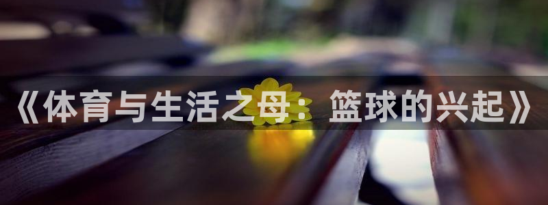 MK体育官网下载平台注册要钱吗安全吗：《体育与生活之母：篮球