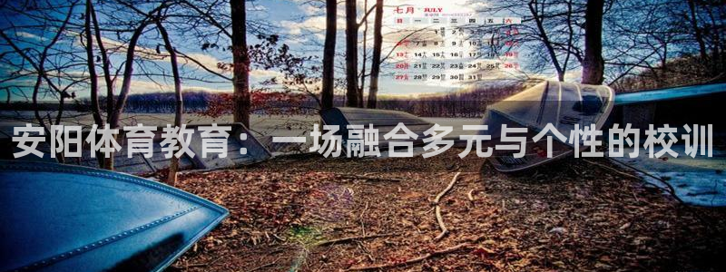 MK体育官方正版app神州：安阳体育教育：一场融合多元与个性