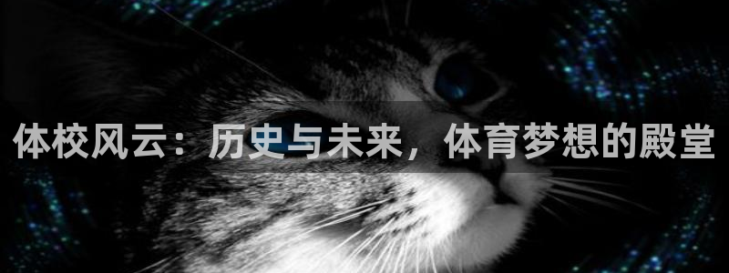 MK体育官方正版app官网：体校风云：历史与未来，体育梦想的